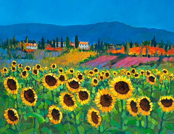 Chris McMorrow - Sunflowers in Tuscany - 469