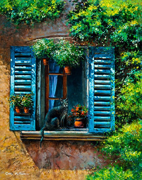 Cat with Blue Shutters, Provence - 585 by Chris McMorrow