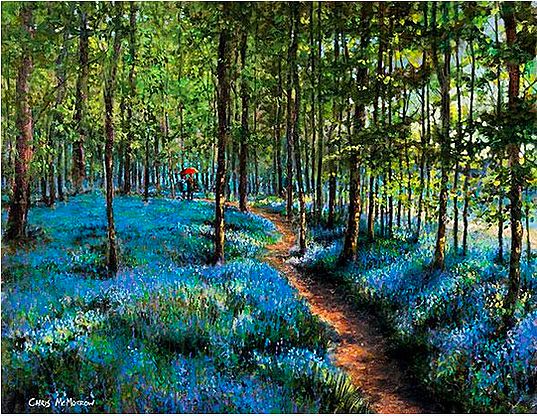 Chris McMorrow - A Walk in the Bluebells - 594