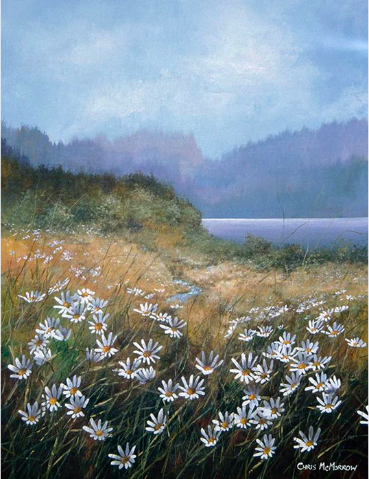 Daisies in the Meadow, West of Ireland - 996 by Chris McMorrow