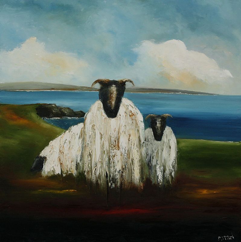 Padraig McCaul - Wild Atlantic Sheep 