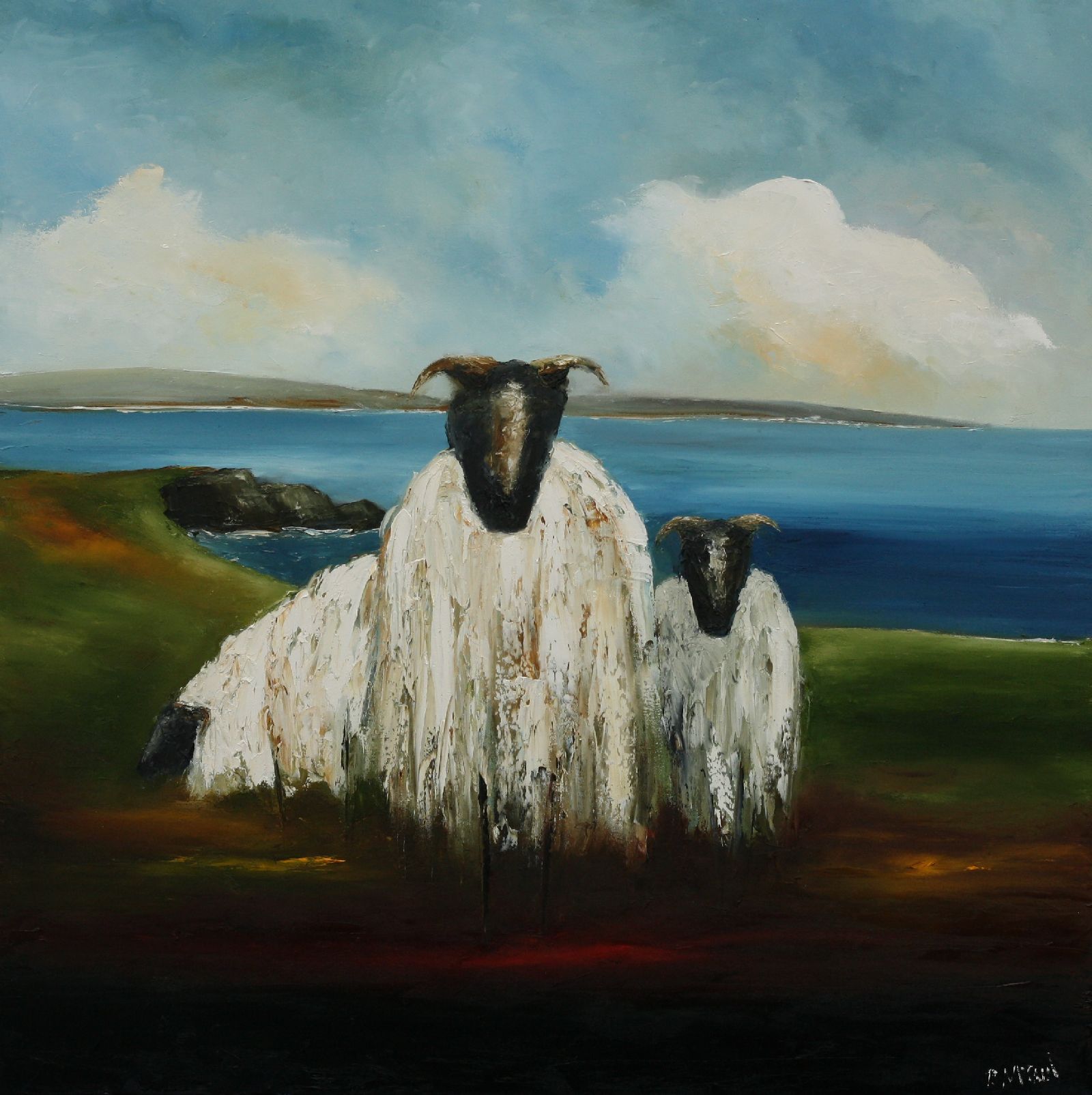 Wild Atlantic Sheep  by Padraig McCaul