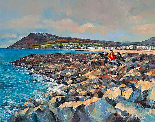 Chris McMorrow - Looking Out to Sea - 489