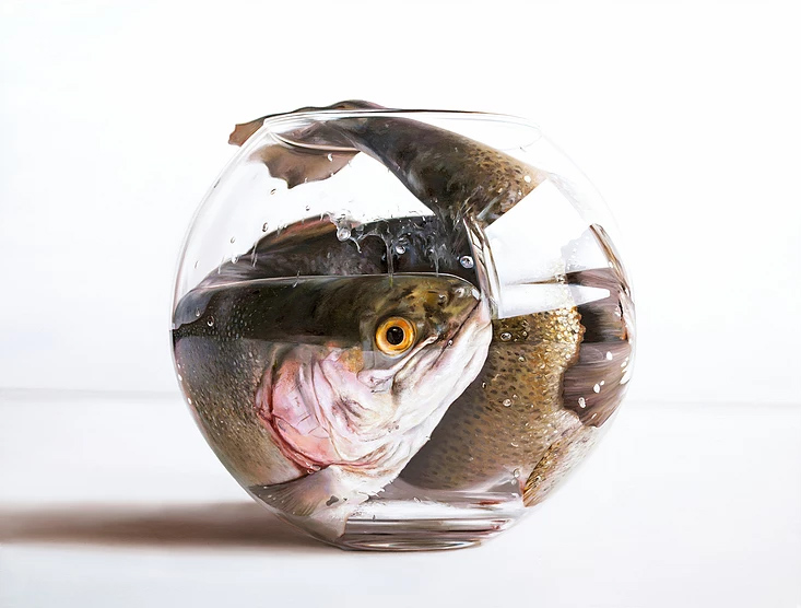 Fish in Bowl by Stephen Johntson